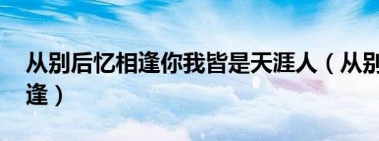 从别后忆相逢你我皆是天涯人（从别后 忆相逢）