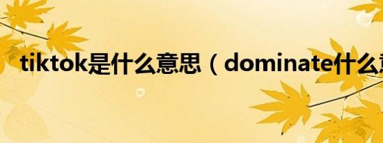 tiktok是什么意思（dominate什么意思）