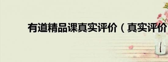 有道精品课真实评价（真实评价）