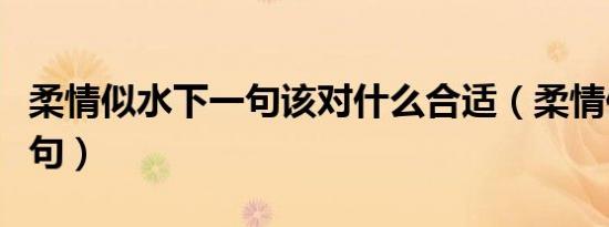 柔情似水下一句该对什么合适（柔情似水下一句）