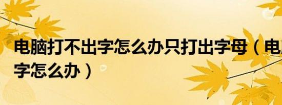 电脑打不出字怎么办只打出字母（电脑打不出字怎么办）