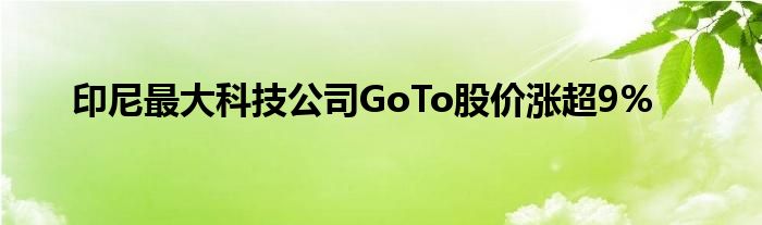 印尼最大科技公司GoTo股价涨超9%