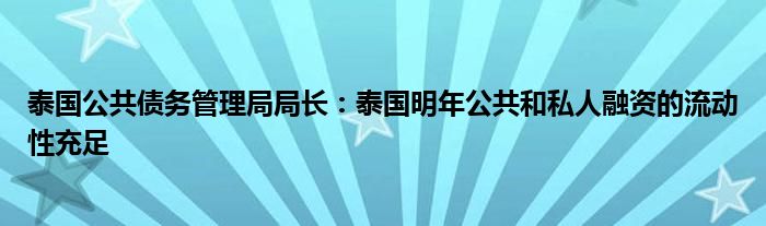 泰国公共债务管理局局长：泰国明年公共和私人融资的流动性充足