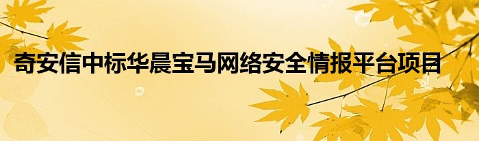 奇安信中标华晨宝马网络安全情报平台项目