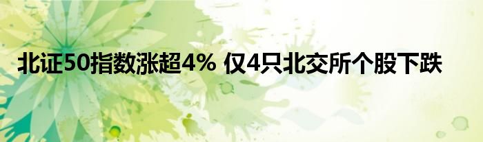 北证50指数涨超4% 仅4只北交所个股下跌