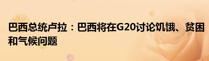 巴西总统卢拉：巴西将在G20讨论饥饿、贫困和气候问题