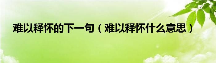 难以释怀的下一句（难以释怀什么意思）