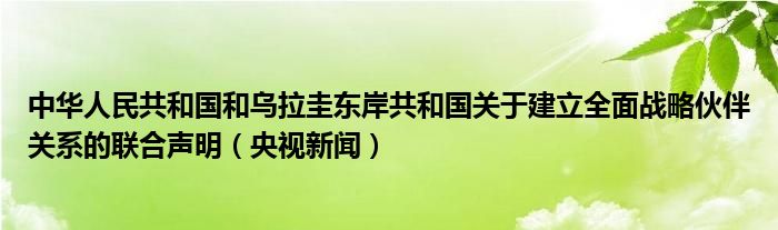 中华人民共和国和乌拉圭东岸共和国关于建立全面战略伙伴关系的联合声明（央视新闻）