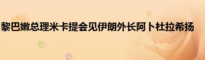 黎巴嫩总理米卡提会见伊朗外长阿卜杜拉希扬