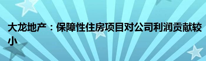 大龙地产：保障性住房项目对公司利润贡献较小