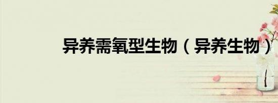异养需氧型生物（异养生物）