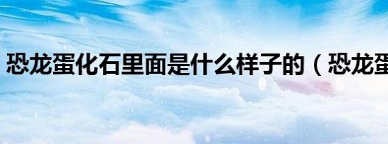 恐龙蛋化石里面是什么样子的（恐龙蛋化石）