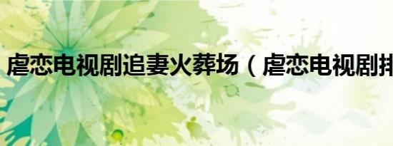 虐恋电视剧追妻火葬场（虐恋电视剧排行榜）