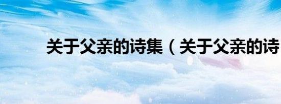 关于父亲的诗集（关于父亲的诗）