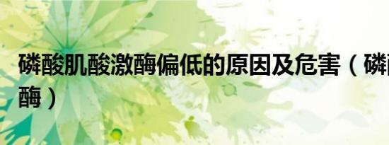 磷酸肌酸激酶偏低的原因及危害（磷酸肌酸激酶）
