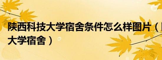 陕西科技大学宿舍条件怎么样图片（陕西科技大学宿舍）