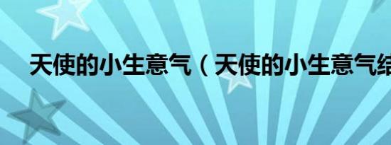 天使的小生意气（天使的小生意气结局）