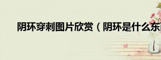 阴环穿刺图片欣赏（阴环是什么东西）
