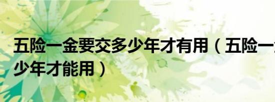 五险一金要交多少年才有用（五险一金要交多少年才能用）