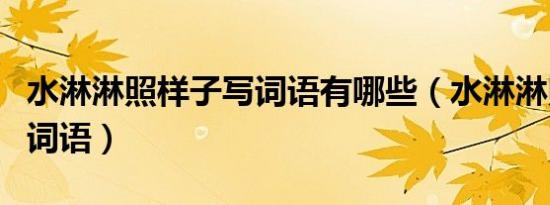 水淋淋照样子写词语有哪些（水淋淋照样子写词语）