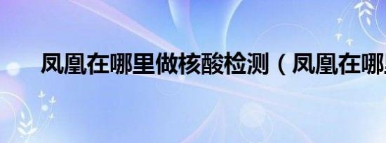 凤凰在哪里做核酸检测（凤凰在哪里）