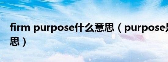 firm purpose什么意思（purpose是什么意思）