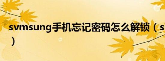 svmsung手机忘记密码怎么解锁（svmsung）