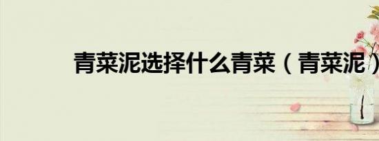 青菜泥选择什么青菜（青菜泥）