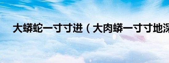 大蟒蛇一寸寸进（大肉蟒一寸寸地深入）