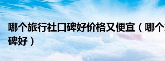 哪个旅行社口碑好价格又便宜（哪个旅行社口碑好）