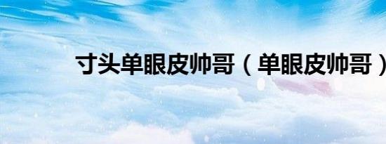 寸头单眼皮帅哥（单眼皮帅哥）