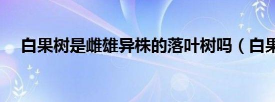 白果树是雌雄异株的落叶树吗（白果树）