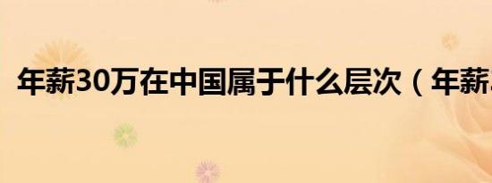 年薪30万在中国属于什么层次（年薪30万）