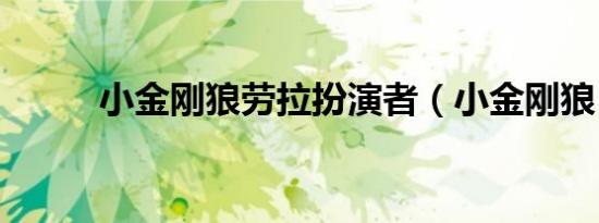 小金刚狼劳拉扮演者（小金刚狼）