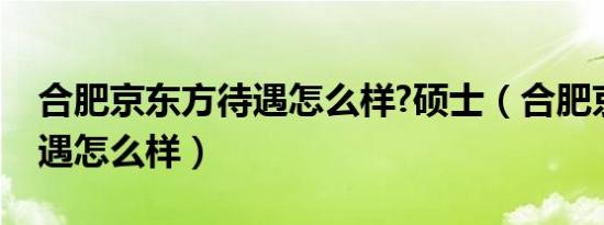 合肥京东方待遇怎么样?硕士（合肥京东方待遇怎么样）