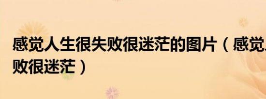 感觉人生很失败很迷茫的图片（感觉人生很失败很迷茫）