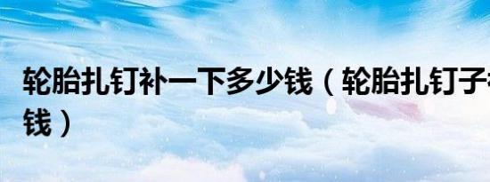轮胎扎钉补一下多少钱（轮胎扎钉子补胎多少钱）