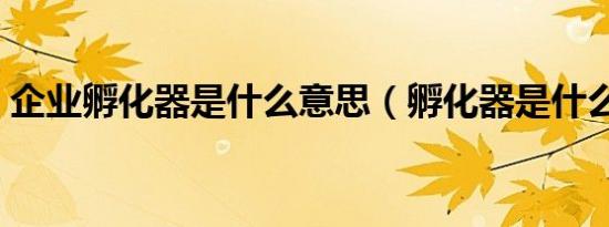 企业孵化器是什么意思（孵化器是什么意思）