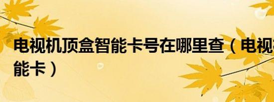 电视机顶盒智能卡号在哪里查（电视机顶盒智能卡）