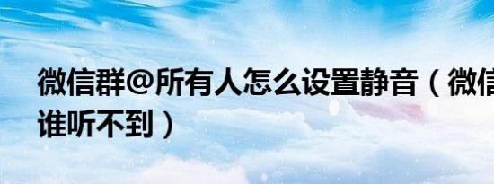 微信群@所有人怎么设置静音（微信静音是谁听不到）