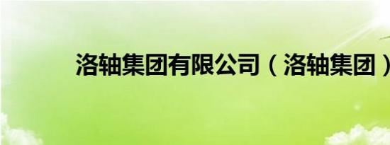 洛轴集团有限公司（洛轴集团）