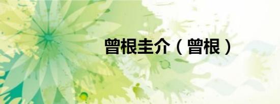 曾根圭介（曾根）