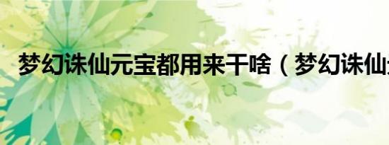 梦幻诛仙元宝都用来干啥（梦幻诛仙元宝）