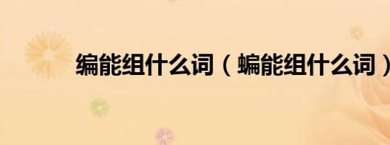 编能组什么词（蝙能组什么词）