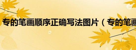 专的笔画顺序正确写法图片（专的笔画顺序）