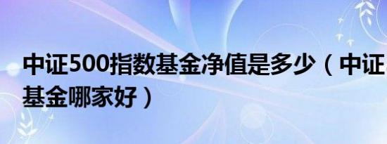 中证500指数基金净值是多少（中证500指数基金哪家好）