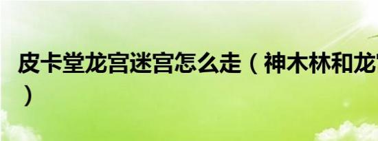 皮卡堂龙宫迷宫怎么走（神木林和龙宫哪个好）