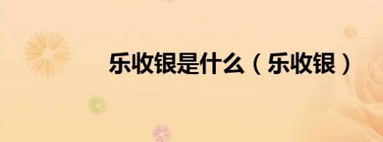 乐收银是什么（乐收银）