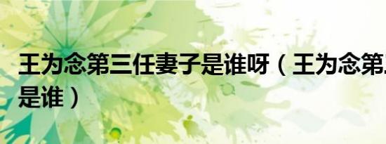 王为念第三任妻子是谁呀（王为念第三任妻子是谁）