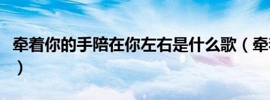 牵着你的手陪在你左右是什么歌（牵着你的手）